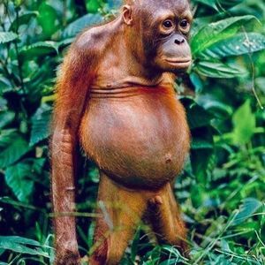 Meet your Posher, Alexander